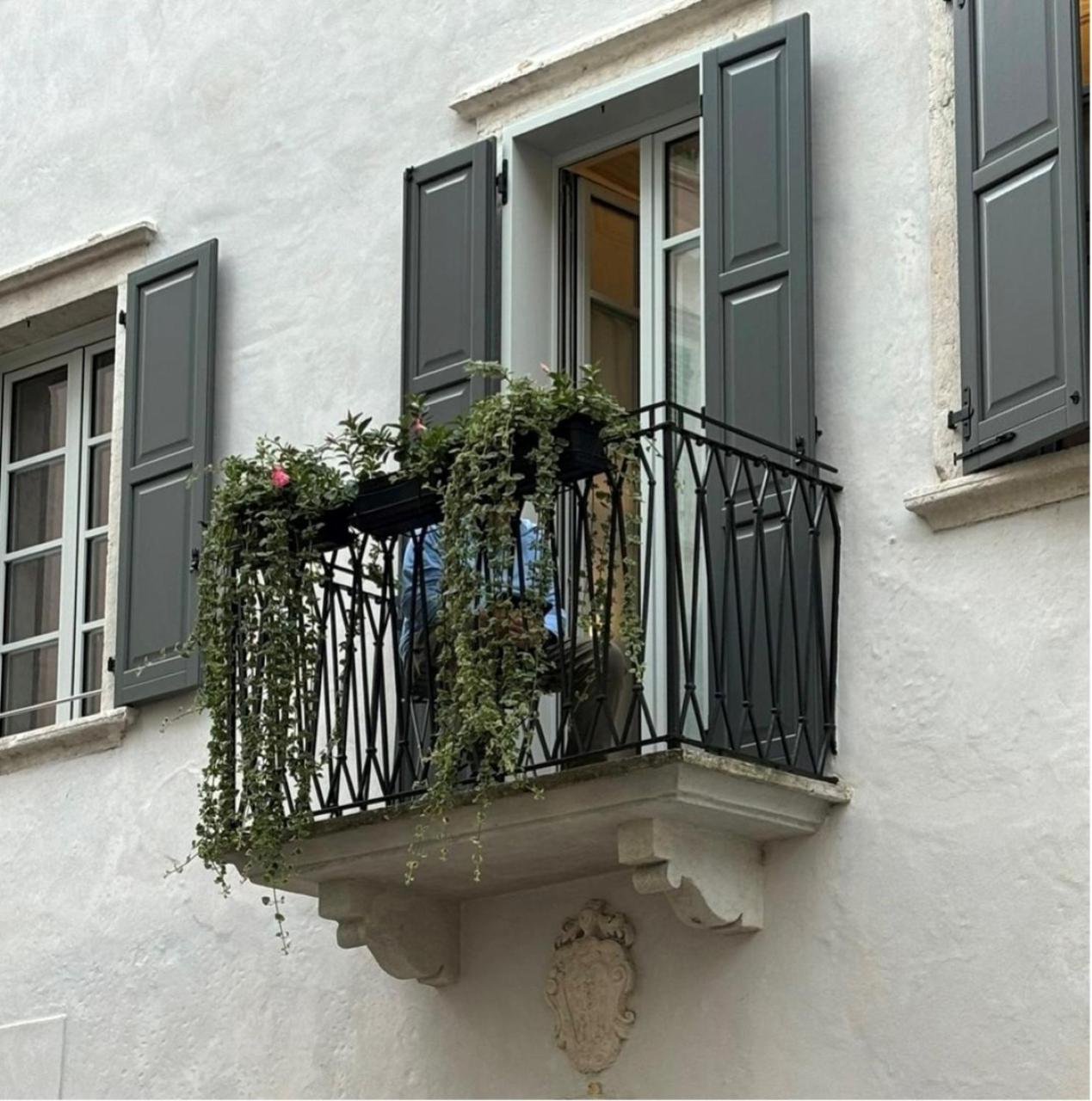 Palazzo Riccamboni Apartment ริวาเดลการ์ดา ภายนอก รูปภาพ